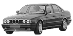 BMW E34 B246E Fault Code